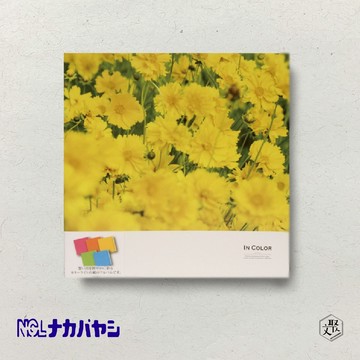 【Nakabayashi】NCL 手繪相本-黃花 L-DB211-Y(原廠正貨)
