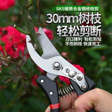 😍新款💫台灣出貨💫修枝剪刀剪枝果樹園藝園林修花枝剪家用強力剪子神器花剪專用剪刀