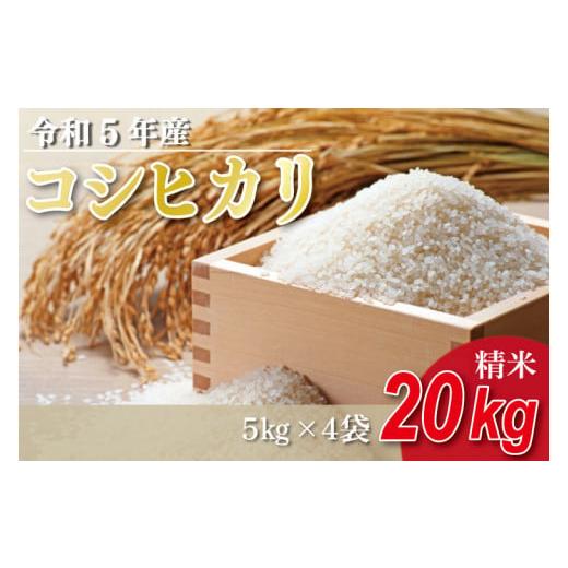 ふるさと納税 茨城県 行方市 ET-1-1 令和５年産 コシヒカリ ２０kg （５ｋｇ×真空パック４袋）