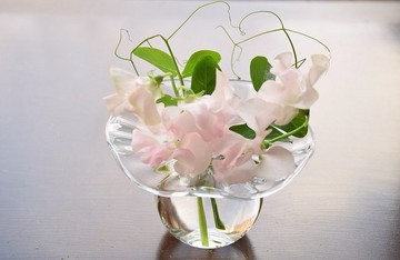 花瓶～fuwari mini～