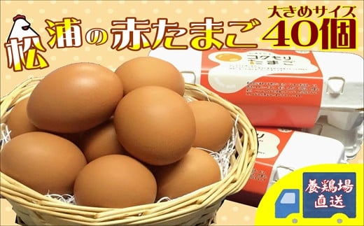 養鶏場直送!松浦の赤たまご(40個)