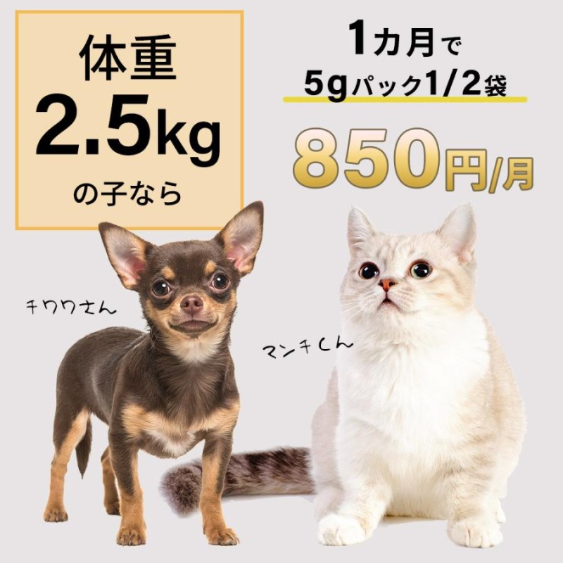 サプリ サプリメント 犬 猫 プラセンタ 肝臓 皮膚 の健康維持 肝臓ケア 肝臓サポート 併用化 毛並み 毛艶 ペット プラセンタ12000(5g)  LINEショッピング