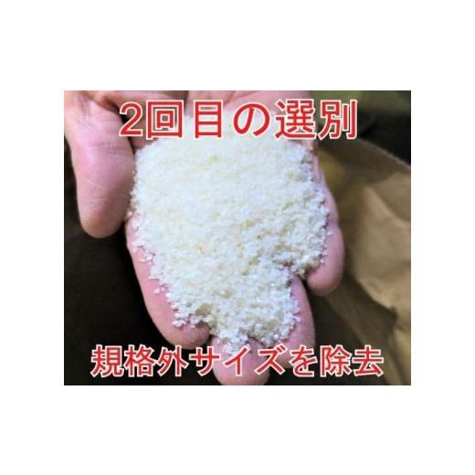 ふるさと納税 秋田県 大仙市 10kg 大手有名百貨店出荷米 あきたこまち 令和5年産米