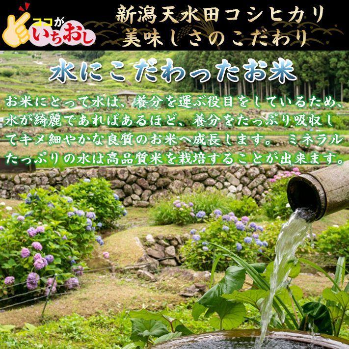 新米 令和5年 お米 5kg 新潟県天水田 コシヒカリ 白米5kg （5kg×1）天然雪解け水と湧き水で育てた 棚田米 ｜ 米 おこめ お米 5kg 白米 送料無料