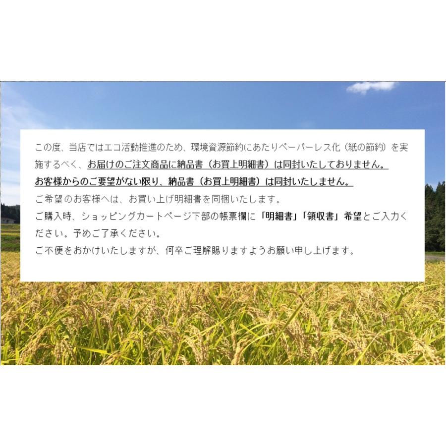 業務用お米　乾式無洗米25kg（5kg×5袋） 生活応援米業務用　 新潟産  未検査米　送料無料