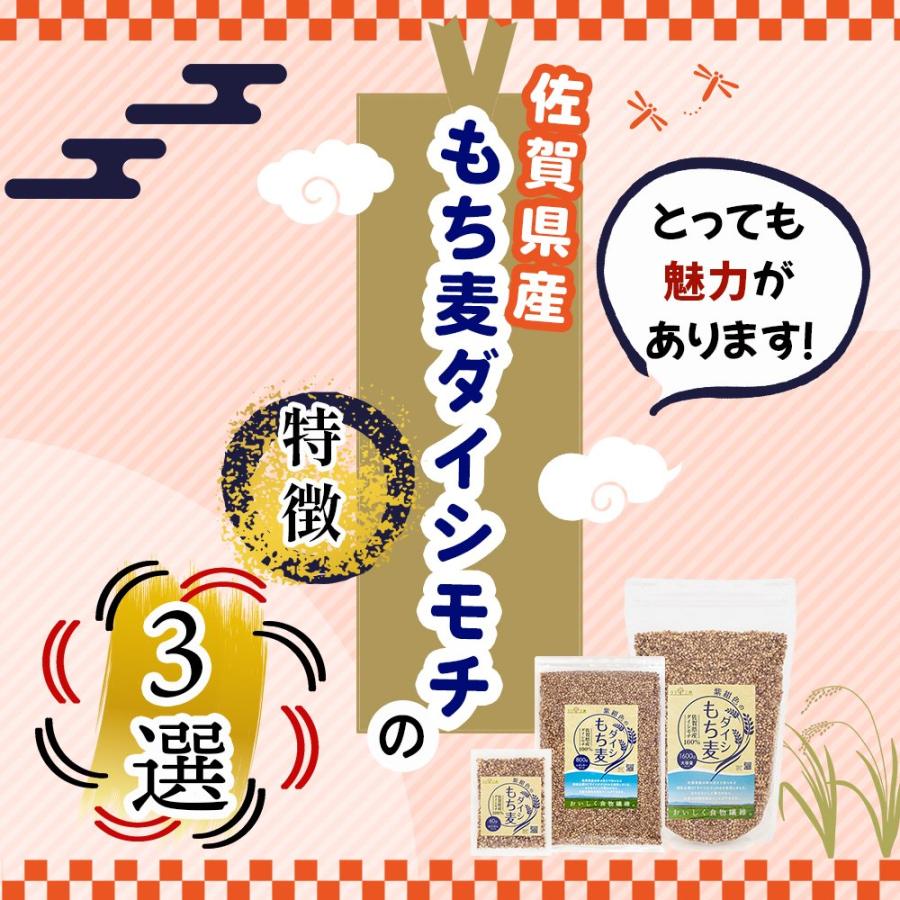 もち麦 国産 ダイシモチ 佐賀県産100% 紫紺色のダイシもち麦 1600g リフ工房 もちむぎ 国産 もち 麦 麦飯 麦ごはん 麦ご飯 チャック袋付き スタンドパック