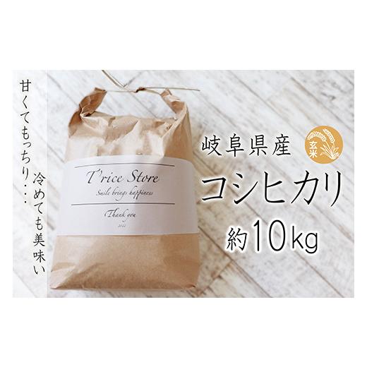 ふるさと納税 岐阜県 垂井町 T rice Store 岐阜県産コシヒカリ（玄米） 約10kg