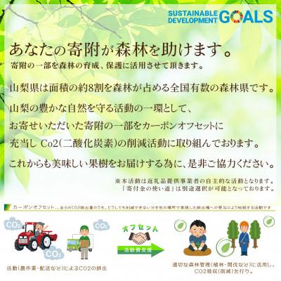 ふるさと納税 南アルプス市  山梨県南アルプス産 もぎたて シャインマスカット 2房(1kg以上)