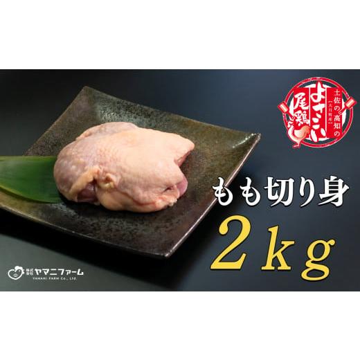 ふるさと納税 高知県 大月町 よさこい尾鶏 もも肉（200ｇ）×10パック