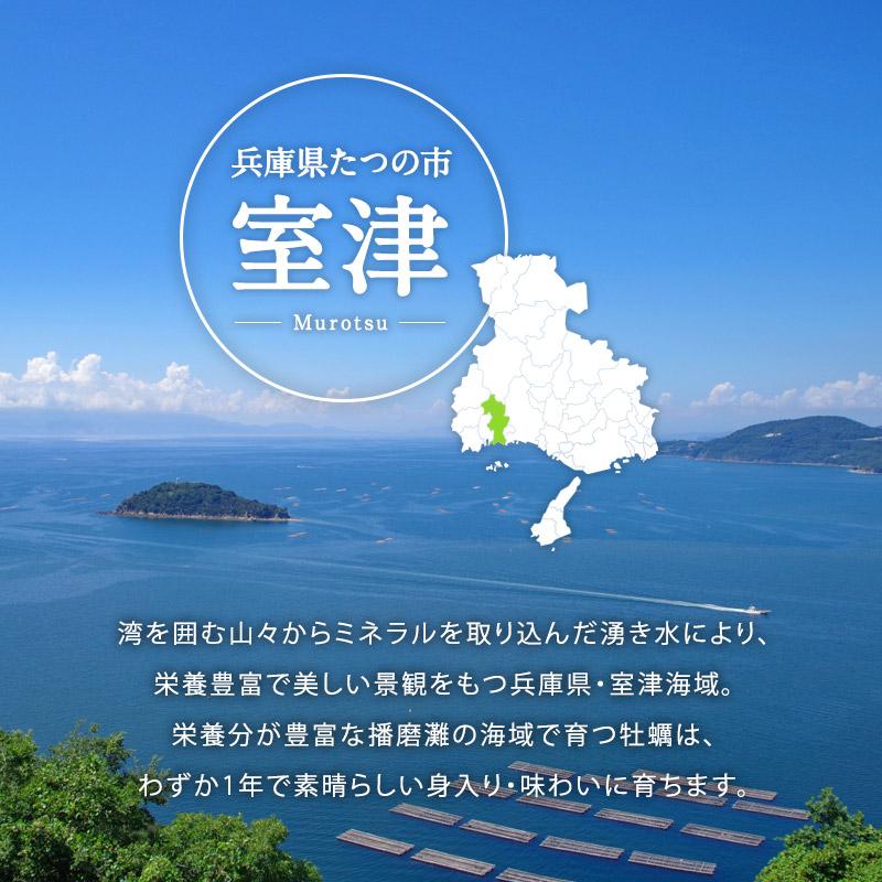 牡蠣 兵庫県室津産 ハーフシェルオイスター 殻付き 生食用 10個入り［冷凍］ 