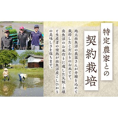 ふるさと納税 十日町市 2024年1月発送開始『定期便』魚沼産コシヒカリ5kg全12回