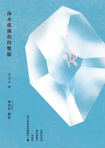 【電子書】海水漲滿我的雙眼