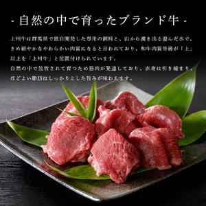 ふるさと納税 牛肉 切り落とし  600g 群馬県 産 千代田町 群馬県千代田町