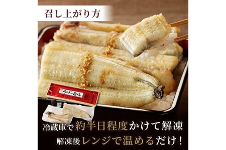 うなぎ／うなぎの白焼き2~3人前（1尾）ウナギ特製タレと山椒付き　うなぎの白焼きセット・うなぎの白焼き・うなぎ１匹