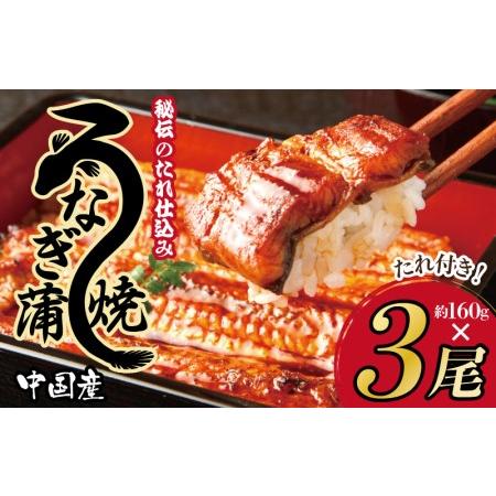 ふるさと納税 うなぎ蒲焼 合計480g（約160g×3尾）秘伝のたれ仕込み 鰻 ウナギ 中国産 温めるだけ 簡単 レンジ調理 ふっくらふわふわ 炭火.. 大阪府泉佐野市