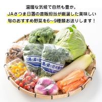 No.788 旬の野菜の詰め合わせ(6～9種類)