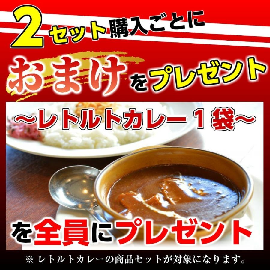 キーマカレー　＆　スリランカ風チキンカレー　会員価格500円　コンビセット　2人前　本格派　レトルト　お取り寄せ　メール便商品　お試しグルメギフト