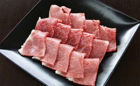 牛肉 飛騨牛 焼き肉 セット 赤身 モモ 又は カタ 600g 黒毛和牛 A5 美味しい お肉 牛 肉 和牛 焼肉 BBQ バーベキュー  