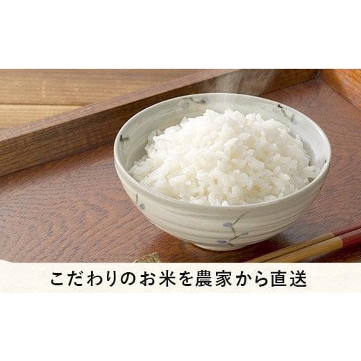 ふるさと納税 長野県 飯綱町 飯綱町の美味しい お米 5kg × 12回 品種はおまかせ 沖縄県への配送不可 2023年11月上旬頃から順次発送予…