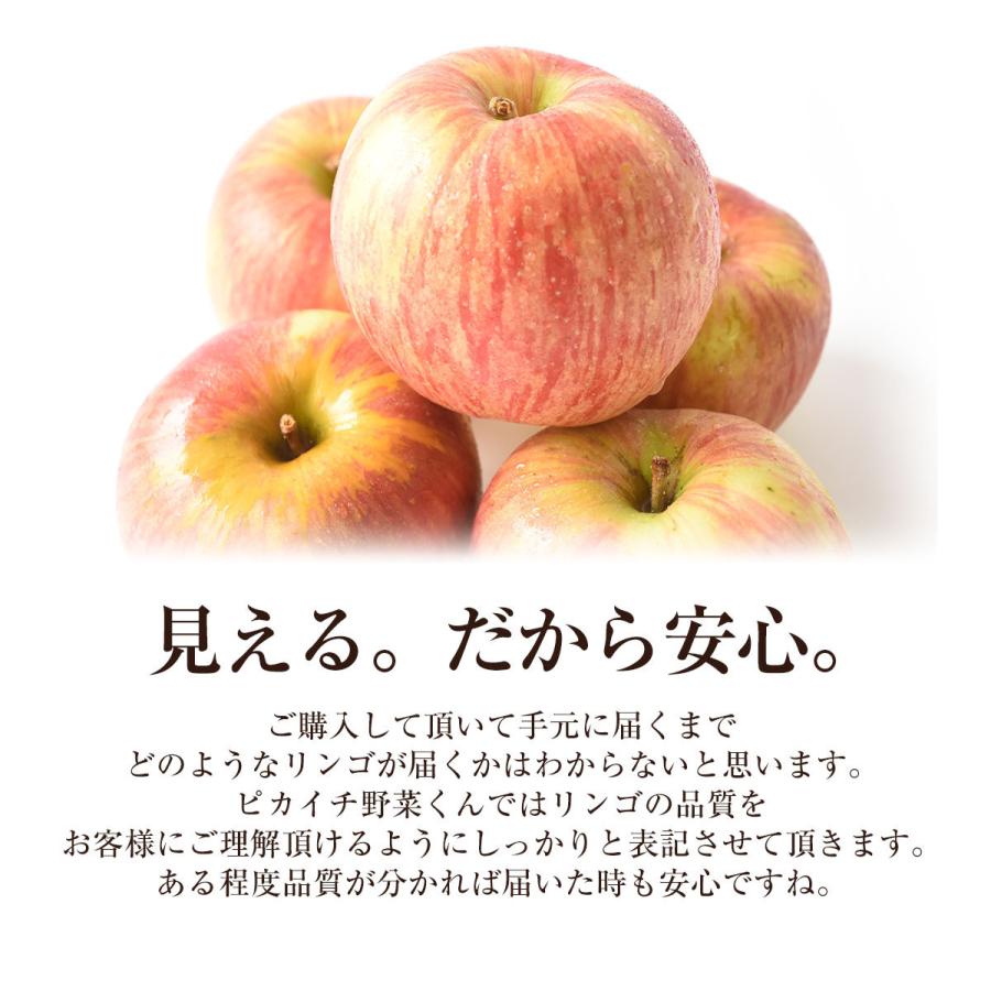 長野県産 りんご 樹上完熟りんご 1kg 特別栽培農産物 減農薬 蜜入り 訳あり ジュース用 ご家庭用 にんじんジュースにも最適