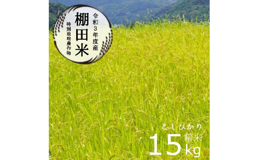 棚田米15kg コシヒカリ 白米 特別栽培米 7割削減 京都府産