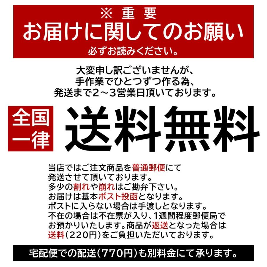 大地の生菓 ドライオレンジスライス 230g ドライフルーツ 手土産 フルーツティー 送料無料 ジュース 紅茶 非常食 クリスマス ギフト プレゼント 2023