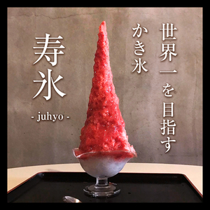 寿氷 いちご シックス  とちぎ の いちご 6種類 食べ比べ セット レギュラー 真岡市 栃木県