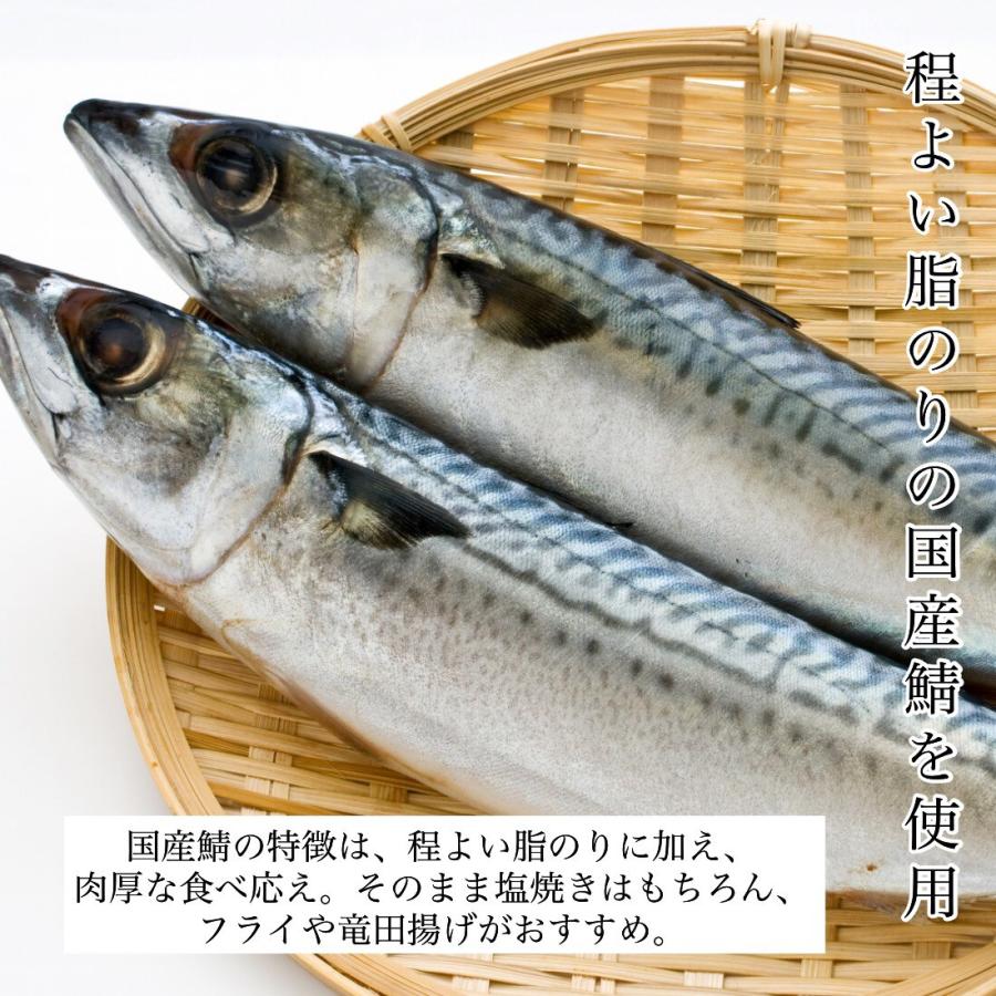 国産 甘塩 鯖 切り身 100g×8切 魚 骨取り 骨なし さば 国内加工 手切り そのまま食べても塩辛くない うす塩仕立て 冷凍 加熱用