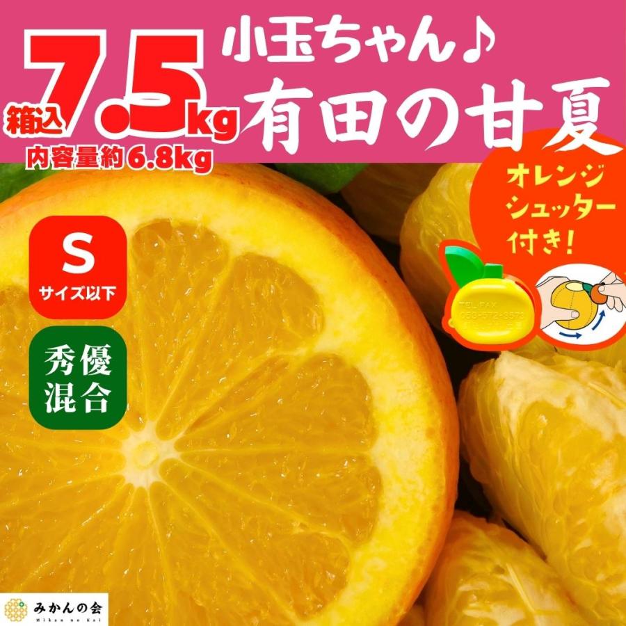 甘夏 小玉ちゃん 箱込 7.5kg 内容量約 6.8kg 秀品 優品 混合 Sサイズ以下 和歌山県 産地直送  