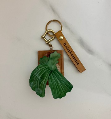 象耳鹿角蕨_皮革吊飾 / 送禮