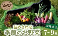 旬 の 野菜 詰め合わせ セット 品 お楽しみ 産地直送 農家直送 季節 春 夏 秋 冬 露地野菜 やさい サラダ 農薬 化学肥料 不使用 下関 山口