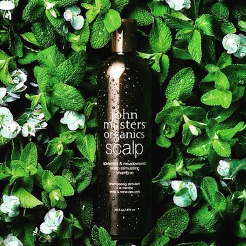 紐約 John masters organics 薄荷繡線菊頭皮洗髮精 473ml