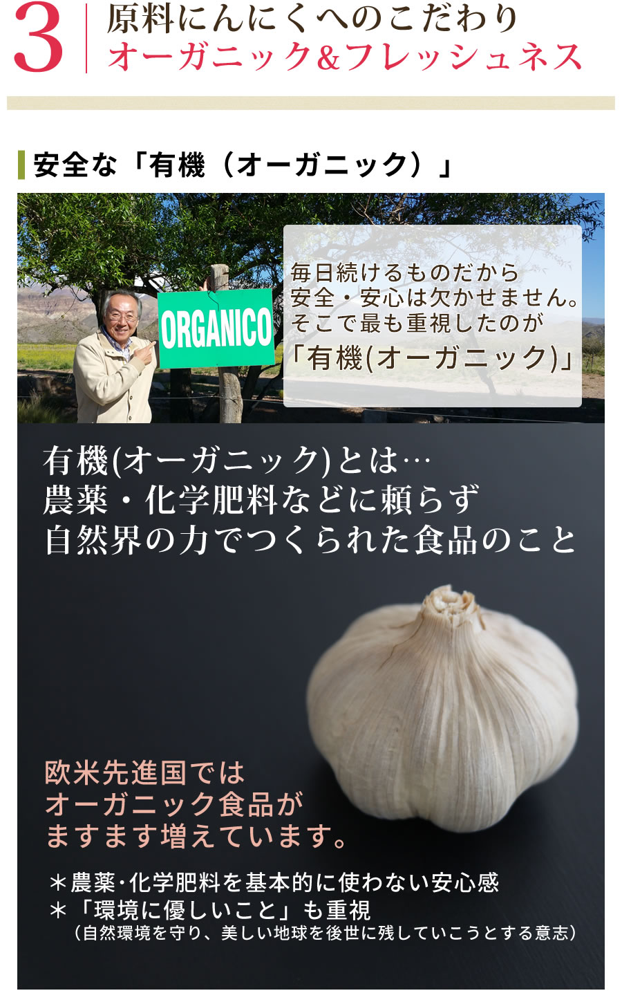 通常品 黒にんにく ちこり村 有機 オーガニック バラ 1kg (500g×2袋)