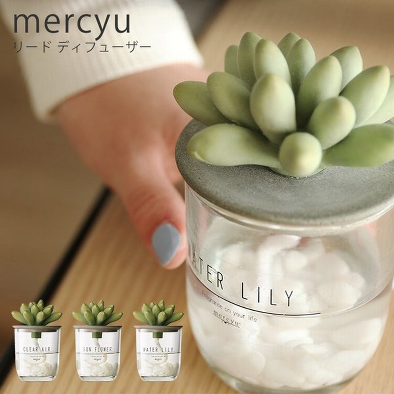 ディフューザー リードディフューザー Mru 91 アロマ フレグランス サボテン おしゃれ 100ml 芳香剤 香り Mercyu 阪和 プレゼント ラッピング 通販 Lineポイント最大get Lineショッピング