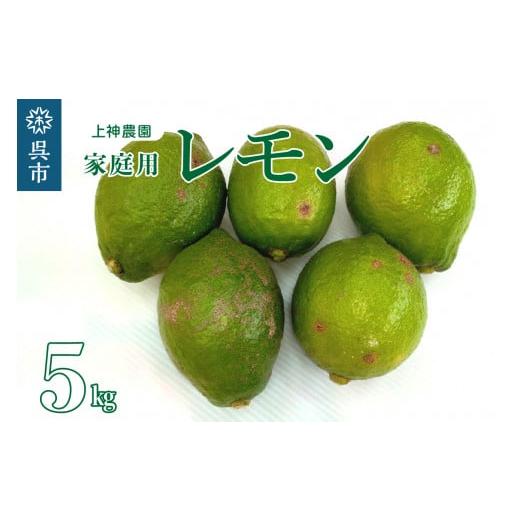 ふるさと納税 広島県 呉市 家庭用 広島産 レモン 約5kg