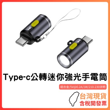 台灣現貨 ~ 【Type-C強光迷你手電筒】免充電即插即亮｜鋁合金耐摔設計｜多設備通用隨身燈