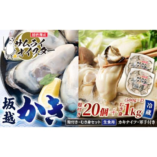 ふるさと納税 兵庫県 赤穂市 牡蠣 生食 坂越かき むき身 500g×2、 殻付き 20個(牡蠣ナイフ・軍手付き)サムライオイスター …