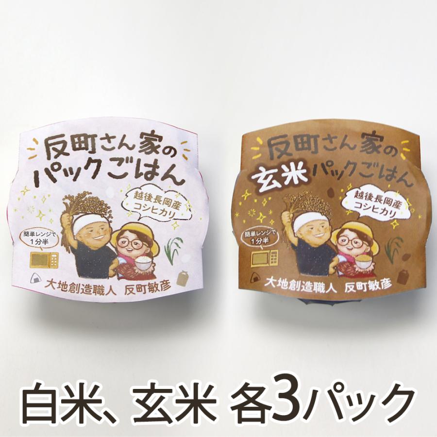 パックごはん 2種6パック入り（白米、玄米 各3パック） 大地創造職人 反町敏彦 送料無料