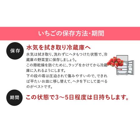 ふるさと納税 完熟いちご (250g ×4パック) イチゴ 苺 果物 フルーツ ストロベリー 贈答 ギフト 国産 おすすめ.. 福島県田村市