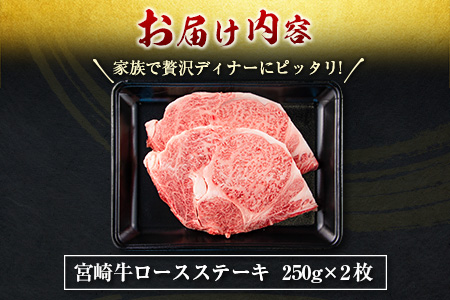 ≪数量限定≫最高ランク5等級宮崎牛ロースステーキ(計500g)　肉　牛　牛肉　国産 D22-191