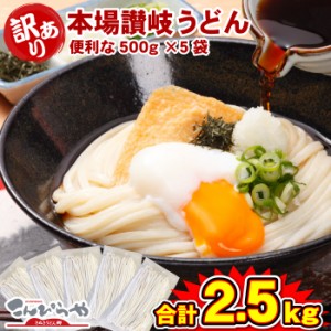 半生讃岐うどん500g×4袋 今だけ1袋サービスの合計2.5kg！！規格外ですが味は本場さぬきうどん！  