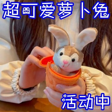 臺灣🚍 速寄🉑可愛蘿蔔兔子毛絨公仔蘿蔔兔玩偶送男女朋友生日禮物娃娃配件