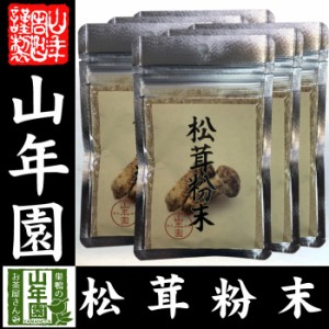  松茸粉末 20g×6袋セット 無農薬で栽培された松茸を温風乾燥させて粉末に 健康 送料無料 緑茶 ダイエット ギフト プレゼ