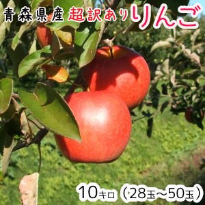 青森りんご☆送料無料☆超訳ありりんご10ｋｇ(10キロ前後)28～50玉【ジュース・スムージ