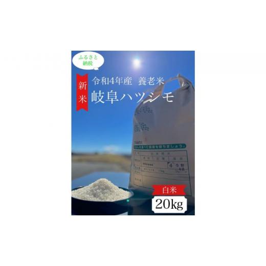 ふるさと納税 岐阜県 養老町 令和4年産岐阜ハツシモ　20kg 白米 [No.5215-0257]