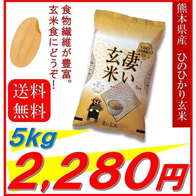 新米　米　お米　５ｋｇ　熊本県産　凄い玄米　ひのひかり　令和５年産　送料無料