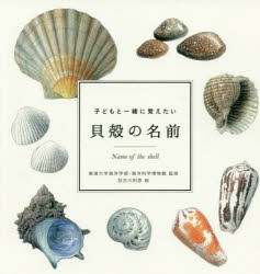 子どもと一緒に覚えたい貝殻の名前 [本]