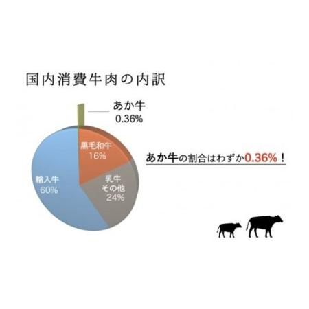 ふるさと納税 くまもとあか牛(GI) 焼肉用 牛カルビ 600g 熊本県南小国町