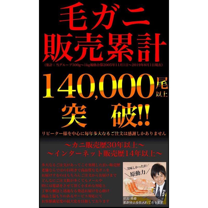 毛ガニ 3尾 合計1kg前後 北海道産 国産［カニ味噌 毛蟹 ボイル みそ かに カニ 蟹 kegani けがに 毛がに kani crab