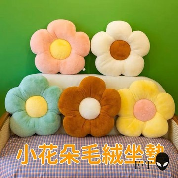24H出🚀小雛菊花朵坐墊 雞蛋花毛絨抱枕 座椅墊 太陽花午睡枕 靠背腰靠枕 靠墊 彩色抱枕